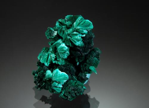 Malachite<br />Kiswishi, Lubumbashi (Elizabethville), Katanga Copper Crescent, Haut-Katanga (Shaba), Democratic Republic of the Congo (Zaire)<br />1.7 x 2.3 cm<br /> (Author: crosstimber)