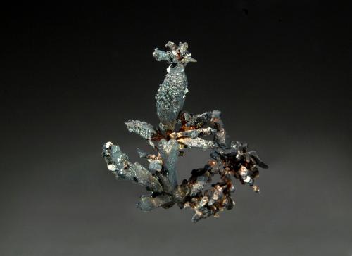 Silver<br />Batopilas, Distrito Andrés del Río, Municipio Batopilas, Chihuahua, México<br />1.6 x 2.0 cm<br /> (Author: crosstimber)