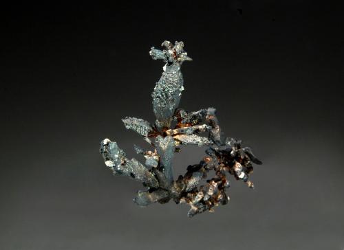 Silver<br />Batopilas, Andrés del Río District, Municipio Batopilas, Chihuahua, Mexico<br />1.6 x 2.0 cm<br /> (Author: crosstimber)