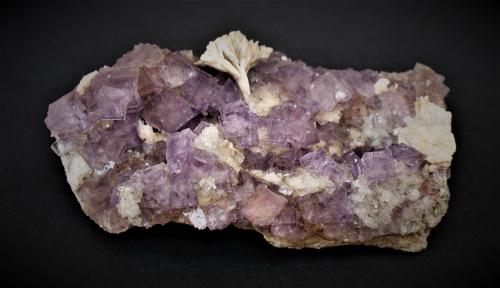 Fluorite and Barite<br />La Cabaña, Berbes mining area, Valdelmar, Berbes, Ribadesella, Comarca Oriente, Principality of Asturias (Asturias), Spain<br />115mm x 65mm x 40mm<br /> (Author: Philippe Durand)