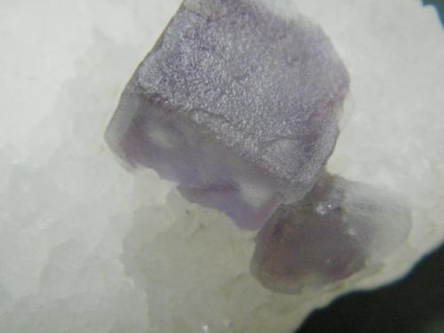 Fluorite on Quartz<br />Erongo Mountain, Usakos, Erongo Region, Namibia<br />81mm x 48mm x 23mm<br /> (Author: Heimo Hellwig)