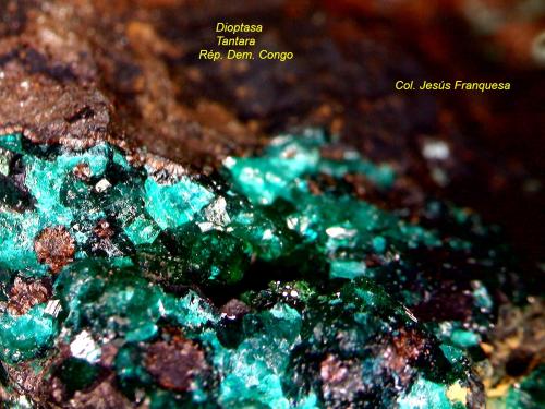 Dioptasa.<br />Zona Mina Tantara, Shinkolobwe, Cinturón de cobre de Katanga, Katanga (Shaba), República Democrática del Congo (Zaire)<br />2´784 x 2´288 mm.<br /> (Autor: Jesus Franquesa Baucells)