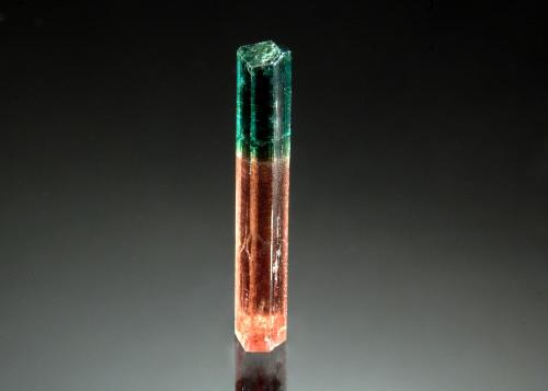 Elbaite<br />Coronel Murta, Vale do Jequitinhonha, Minas Gerais, Brazil<br />0.5 x 2.6 cm<br /> (Author: crosstimber)