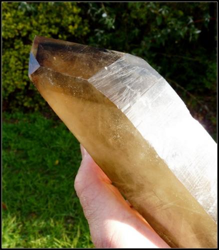 Quartz (variety smoky)<br />Erongo Mountain, Usakos, Erongo Region, Namibia<br />260 x 60 x 56 mm<br /> (Author: Pierre Joubert)