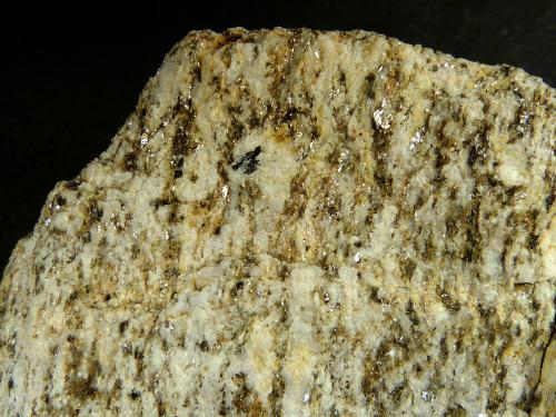 Gneis<br />El Chive, Lubrín, Comarca Levante Almeriense, Almería, Andalusia, Spain<br />8 x 8,5 x 2 cm.<br /> (Autor: Felipe Abolafia)