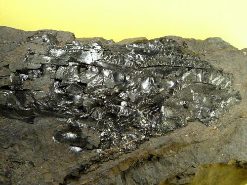 Pizarra bituminosa<br />Puertollano, Comarca Campo de Calatrava, Ciudad Real, Castilla-La Mancha, Spain<br />14,5 x 5 x 3,5 cm.<br /> (Autor: Felipe Abolafia)