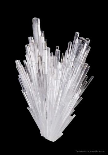 Scolecite<br />Distrito Pune (Distrito Poonah), Maharashtra, India<br />3.4 cm<br /> (Author: Nunzio)