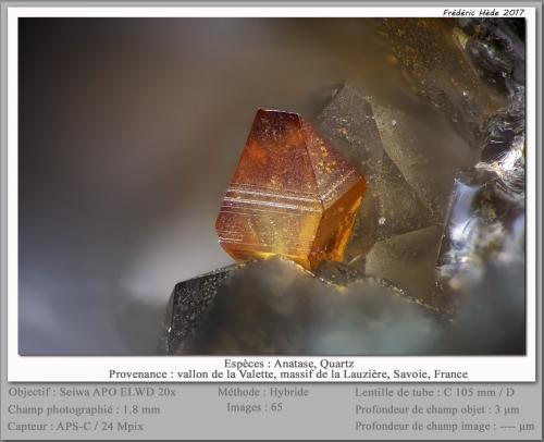 Anatase<br />Vallon de la Valette, Macizo La Lauzière, Saint-Jean-de-Maurienne, Saboya, Auvergne-Rhône-Alpes, Francia<br />fov 1.8 mm<br /> (Author: ploum)