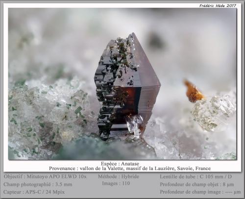anatase<br />Vallon de la Valette, Macizo La Lauzière, Saint-Jean-de-Maurienne, Saboya, Auvergne-Rhône-Alpes, Francia<br />fov 3.5 mm<br /> (Author: ploum)