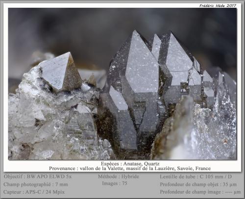 Anatase<br />Vallon de la Valette, La Lauzière Massif, Saint-Jean-de-Maurienne, Savoie, Auvergne-Rhône-Alpes, France<br />fov 7 mm<br /> (Author: ploum)