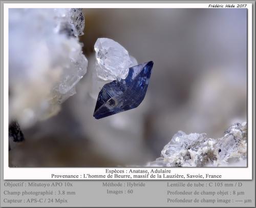 Anatase<br />L'Homme de Beurre, Macizo La Lauzière, Saint-Jean-de-Maurienne, Saboya, Auvergne-Rhône-Alpes, Francia<br />fov 3.5 mm<br /> (Author: ploum)