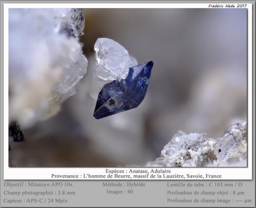 Anatase<br />L'Homme de Beurre, La Lauzière Massif, Saint-Jean-de-Maurienne, Savoie, Auvergne-Rhône-Alpes, France<br />fov 3.5 mm<br /> (Author: ploum)