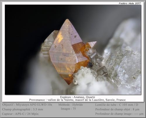 Anatase<br />Vallon de la Valette, Macizo La Lauzière, Saint-Jean-de-Maurienne, Saboya, Auvergne-Rhône-Alpes, Francia<br />fov 3.5 mm<br /> (Author: ploum)