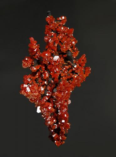 Vanadinite<br />Mibladen (distrito minero Mibladen), Midelt, Provincia Midelt, Región Drâa-Tafilalet, Marruecos<br />2.8 x 5.5 cm<br /> (Author: crosstimber)