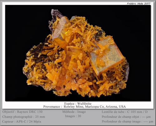 Wulfenite and Mimetite<br />Mina Rowley, Theba, Distrito Painted Rock, Montes Painted Rock, Condado Maricopa, Arizona, USA<br />fov 25 mm<br /> (Author: ploum)