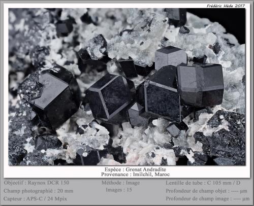 Andradite<br />Zona Imilchil, Anti-Atlas, Provincia Er Rachidia, Región Drâa-Tafilalet, Marruecos<br />fov 20 mm<br /> (Author: ploum)