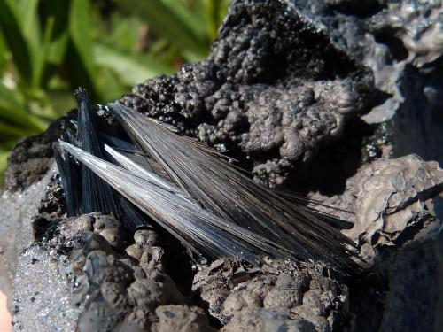 Pirolusita<br />Serra da Mina Mine, Cercal, Santiago do Cacém, Setúbal District, Área Metropolitana de Lisboa Region, Portugal<br />12 x 6 cm (la pieza)<br /> (Autor: nerofis2)