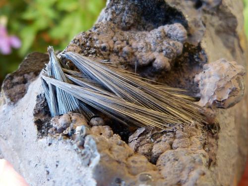 Pirolusita<br />Serra da Mina Mine, Cercal, Santiago do Cacém, Setúbal District, Área Metropolitana de Lisboa Region, Portugal<br />12 x 6 cm (la pieza)<br /> (Autor: nerofis2)
