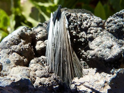 Pirolusita<br />Serra da Mina Mine, Cercal, Santiago do Cacém, Setúbal District, Área Metropolitana de Lisboa Region, Portugal<br />12 x 6 cm (la pieza)<br /> (Autor: nerofis2)
