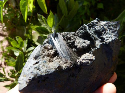 Pirolusita<br />Serra da Mina Mine, Cercal, Santiago do Cacém, Setúbal District, Área Metropolitana de Lisboa Region, Portugal<br />12 x 6 cm (la pieza)<br /> (Autor: nerofis2)