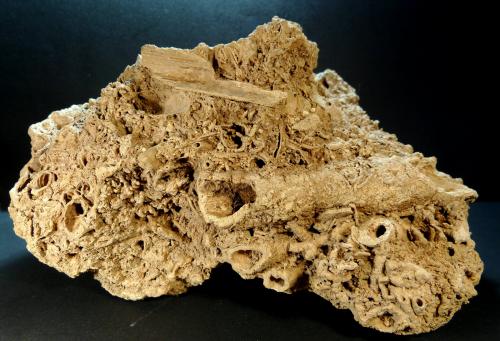 Toba calcárea<br />La Frangía Creek, Olvera, Sabiote, Comarca La Loma, Jaén, Andalusia, Spain<br />17 x 10 x 12 cm.<br /> (Autor: Felipe Abolafia)