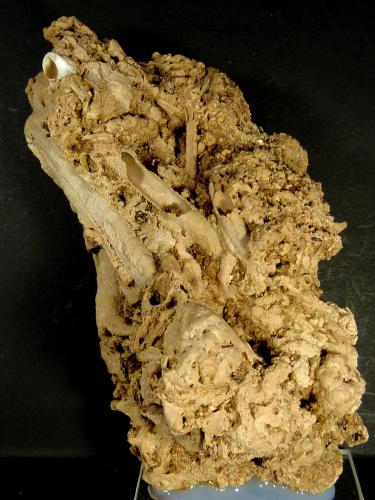 Toba calcárea<br />La Frangía Creek, Olvera, Sabiote, Comarca La Loma, Jaén, Andalusia, Spain<br />10 x 5 x 4 cm.<br /> (Autor: Felipe Abolafia)