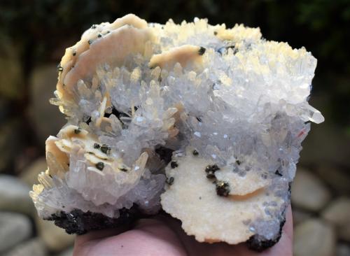 Calcite, Pyrite, Quartz, Sphalerite<br />Cavnic Mine, Cavnic mining area, Cavnic, Maramures, Romania<br />16 x 14.5 cm<br /> (Author: Deyu)