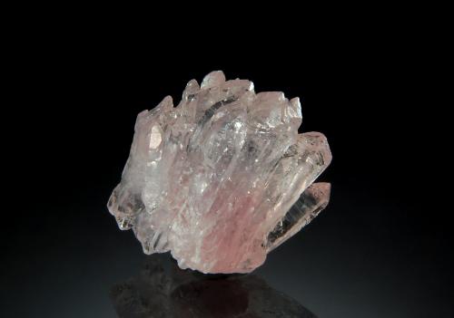 Quartz (variety rose quartz)<br />Pitorra claim, Alto da Pitorra, Laranjeiras, Galiléia, Vale do Rio Doce, Minas Gerais, Brazil<br />1.8 x 2.0 cm<br /> (Author: crosstimber)