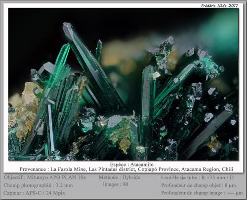 atacamite<br />La Farola Mine, Cerro Pintado, Las Pintadas District, Tierra Amarilla, Copiapó Province, Atacama Region, Chile<br />fov 2.5 mm<br /> (Author: ploum)