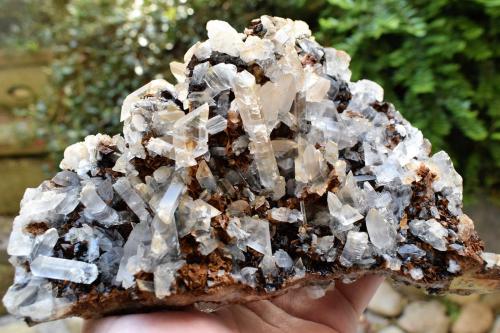 Gypsum, Siderite<br />Herja Mine, Chiuzbaia, Baia Sprie, Maramures, Romania<br />19 x 14 cm<br /> (Author: Deyu)