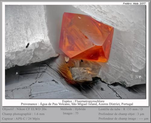 Fluornatropyrochlore<br />Volcán Água de Pau, Água de Pau, Municipio Lagoa, Isla San Miguel, Región Autónoma de las Azores, Portugal<br />fov 1.6 mm<br /> (Author: ploum)