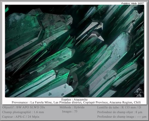 Atacamite<br />Mina La Farola, Cerro Pintado, Distrito Las Pintadas, Tierra Amarilla, Provincia Copiapó, Región Atacama, Chile<br />fov 1.6 mm<br /> (Author: ploum)