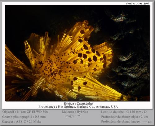 Cacoxenite<br />Hot Springs, Garland County, Arkansas, USA<br />fov 0.50 mm<br /> (Author: ploum)