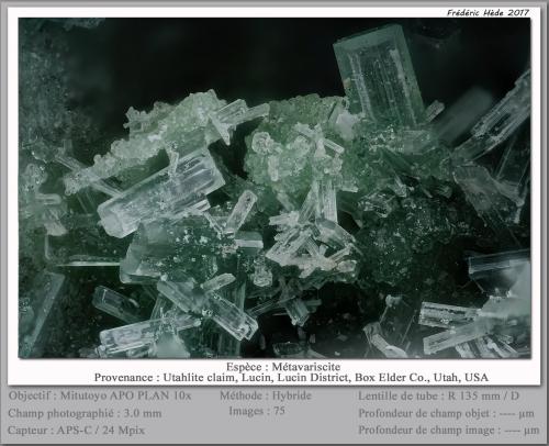 Metavariscite<br />Concesión Utahlite, Utahlite Hill, Lucin, Distrito Lucin, Pilot Range, Utah, USA<br />fov 3 mm<br /> (Author: ploum)