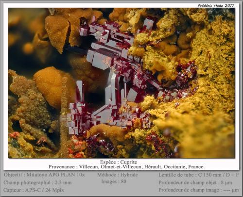 Cuprite<br />Villecun, Olmet-et-Villecun, Lodève Canton, Lodève District, Hérault, Occitanie, France<br />fov 2.3 mm<br /> (Author: ploum)