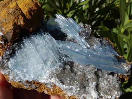 Barita<br />Jebel Ouichane mines, Beni Bou Ifrour, Nador, Nador Province, Oriental Region, Morocco<br />15 x 6 cm (la pieza)<br /> (Autor: nerofis2)