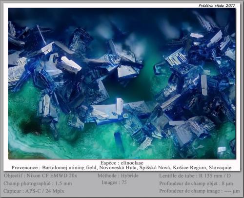 Clinoclase<br />Bartolomej mining field, Novoveská Huta, Spiská Nová Ves, Spiská Nová Ves District, Koice Region, Slovak Republic<br />fov 1.5 mm<br /> (Author: ploum)