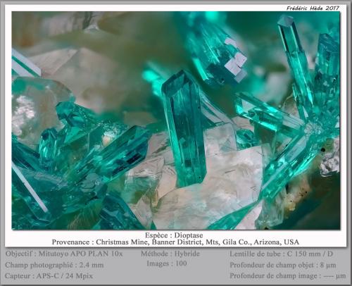Dioptase<br />Mina Christmas, Christmas, Distrito Banner, Montes Dripping Spring, Condado Gila, Arizona, USA<br />fov 2.4 mm<br /> (Author: ploum)
