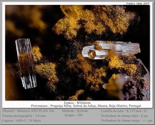 Willemite<br />Preguiça Mine, Sobral da Adiça, Moura, Beja District, Baixo Alentejo, Alentejo, Portugal<br />fov 3 mm<br /> (Author: ploum)