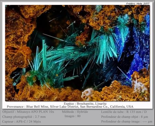 Brochantite<br />Blue Bell Mine, Baker, Soda Lake Mountains, San Bernardino County, California, USA<br />fov 2.7 mm<br /> (Author: ploum)