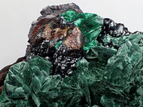 Malachite after Azurite, Goethite<br />Milpillas Mine, Cuitaca, Municipio Santa Cruz, Sonora, Mexico<br />15 cm x 12 cm x 9 cm<br /> (Author: Don Lum)