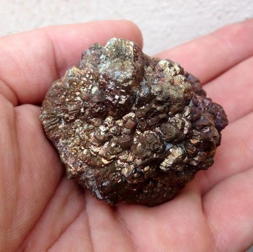 Pirita<br />Son Genovés, Marratxí, Comarca Raiguer, Mallorca, Baleares, Balearic Islands / Illes Balears, Spain<br />51 mm<br /> (Autor: José Juárez Ruiz)