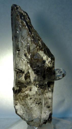 Yeso<br />Montalbán, Comarca Cuencas Mineras, Teruel, Aragón, España<br />9 x 3 x 2 cm.<br /> (Autor: Felipe Abolafia)