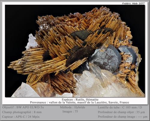 Rutile and Hematite<br />Vallon de la Valette, Macizo La Lauzière, Saint-Jean-de-Maurienne, Saboya, Auvergne-Rhône-Alpes, Francia<br />fov 8 mm<br /> (Author: ploum)