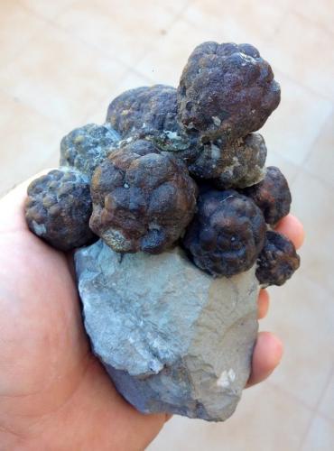 Pirita<br />Son Genovés, Marratxí, Comarca Raiguer, Mallorca, Baleares, Balearic Islands / Illes Balears, Spain<br />121 mm (36 mm el agregado mayor)<br /> (Autor: José Juárez Ruiz)