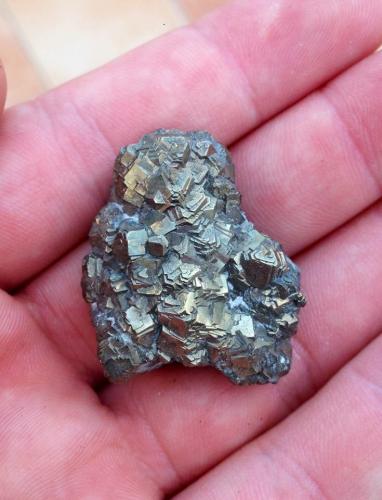Pirita<br />Can Negret Quarry, Can Negret, Alaró, Mallorca, Balearic Islands / Illes Balears, Spain<br />38 mm.<br /> (Autor: José Juárez Ruiz)