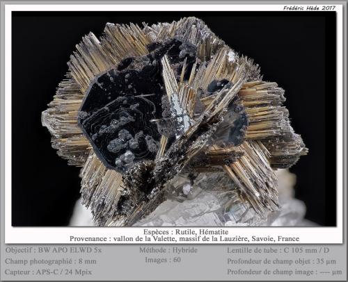 Rutile and Hematite<br />Vallon de la Valette, La Lauzière Massif, Saint-Jean-de-Maurienne, Savoie, Auvergne-Rhône-Alpes, France<br />fov 8 mm<br /> (Author: ploum)