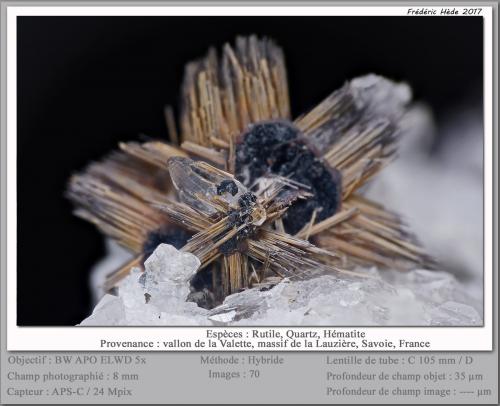 Rutile and Hematite<br />Vallon de la Valette, La Lauzière Massif, Saint-Jean-de-Maurienne, Savoie, Auvergne-Rhône-Alpes, France<br />fov 8 mm<br /> (Author: ploum)