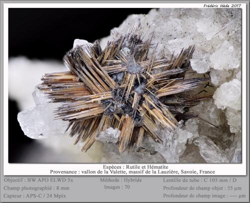 Rutile and Hematite<br />Vallon de la Valette, Macizo La Lauzière, Saint-Jean-de-Maurienne, Saboya, Auvergne-Rhône-Alpes, Francia<br />fov 8 mm<br /> (Author: ploum)