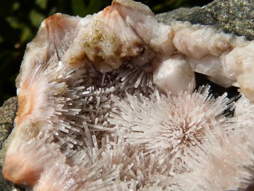 Natrolita<br />Siusi Alp (Seis Alp, Seiser Alm), Gardena Valley (Gröden Valley), Bolzano Province, Trentino-Alto Adige (Trentino-Südtirol), Italy<br />5,5 cm (diámetro mayor de la geoda)<br /> (Autor: nerofis2)